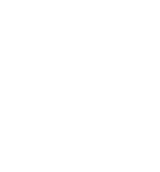dsm logo