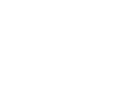 everlast logo