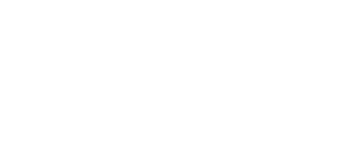 vice logo